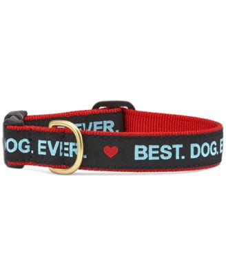 coach dog accessories