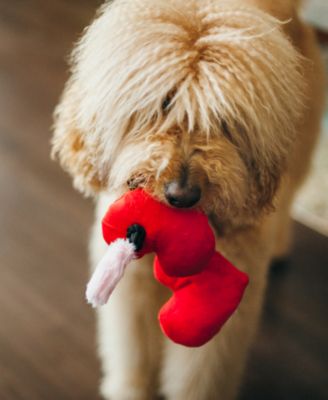 Puppy Love Collection: Fur-Ever Hearts