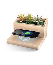 Succulent Qi Wireless Charging Stand