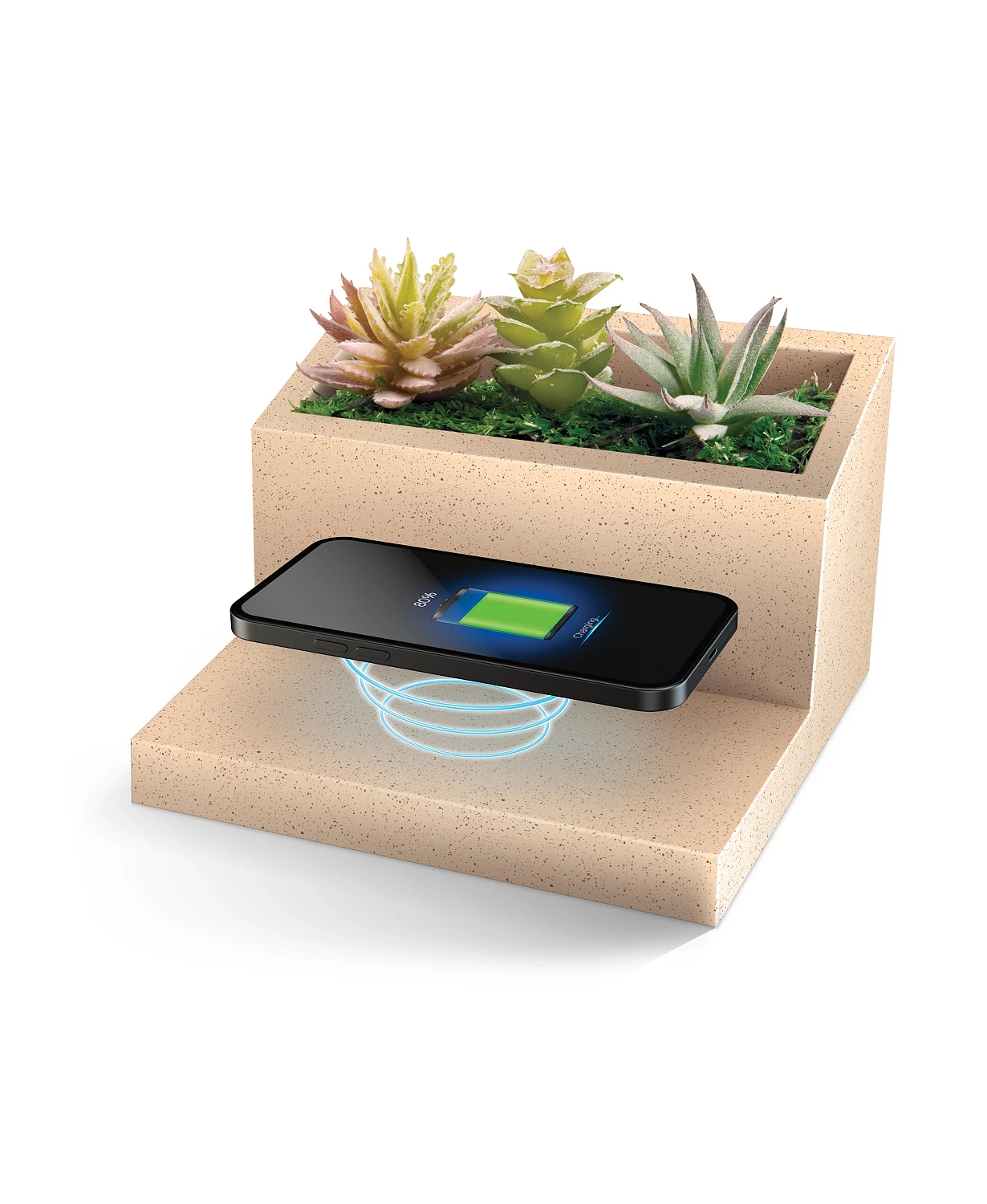 Succulent Qi Wireless Charging Stand! .99 (REG .00) + Free Shipping at Macy’s!