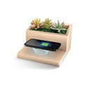 Lomi Succulent Qi Wireless Charging Stand