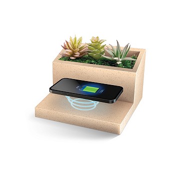 Lomi Succulent Qi Wireless Charging Stand