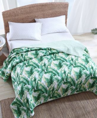 Tommy Bahama Home