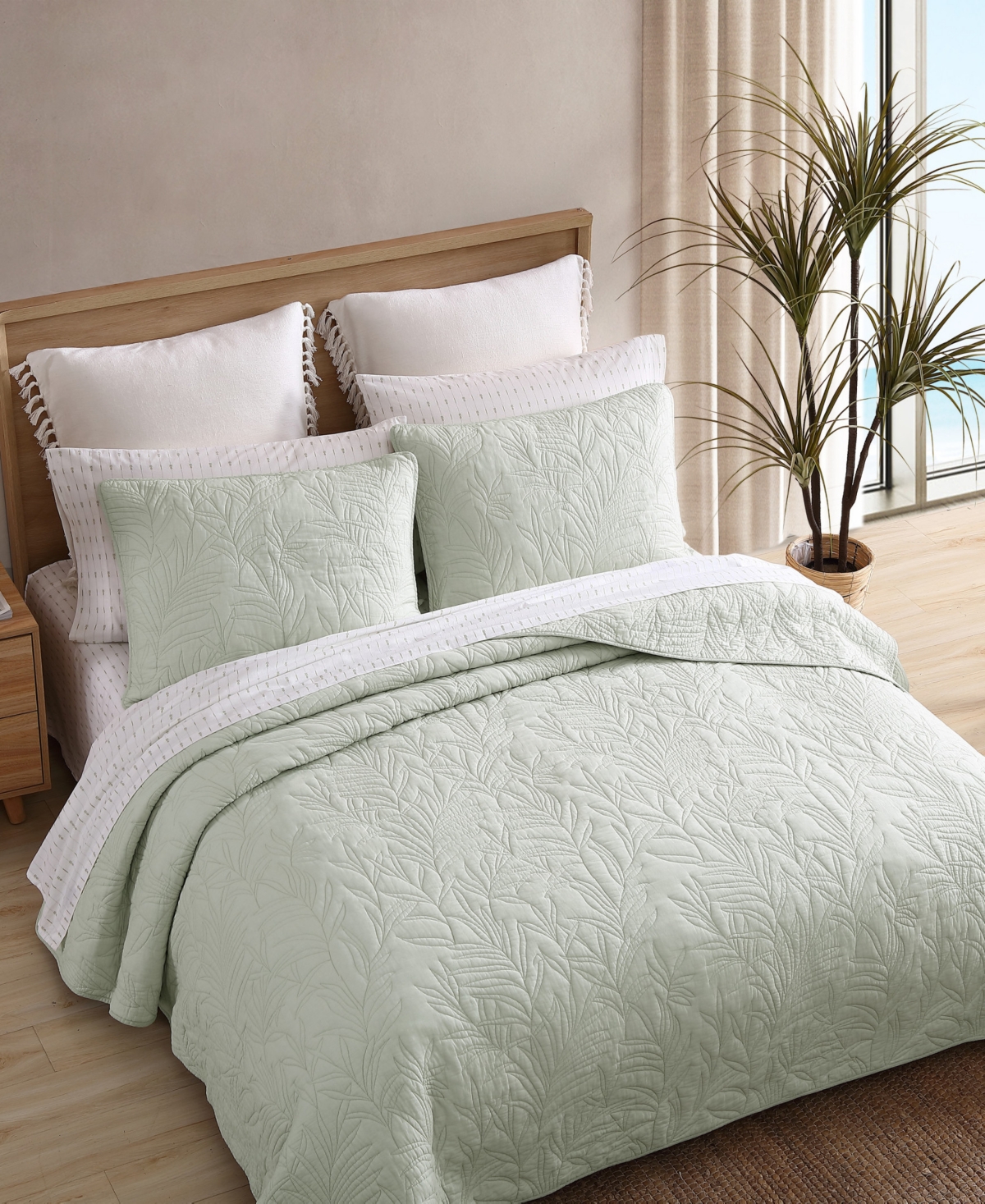 Tommy Bahama Home Solid Costa Sera Cotton Sham, King