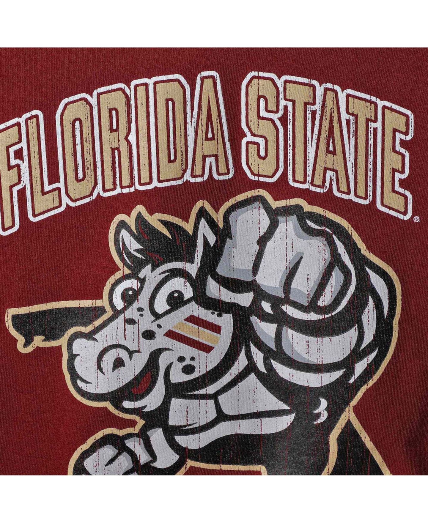 Футболка Champion Garnet Florida State Seminoles Strong Mascot T-shirt для мальчиков — фото 3