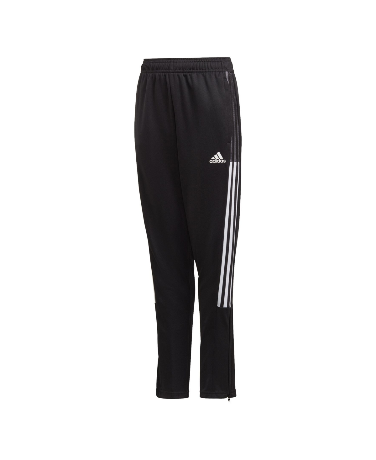 circuit track pants big w