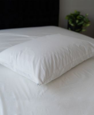 sealy standard chill pillow