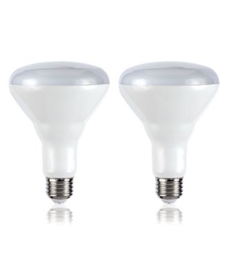 Smart BR30 Dimmable Light Bulb - Dimmable Color Changing LED, Set of 2
