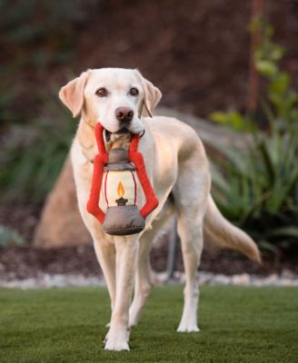 Camp Corbin Collection: Pack Leader Lantern