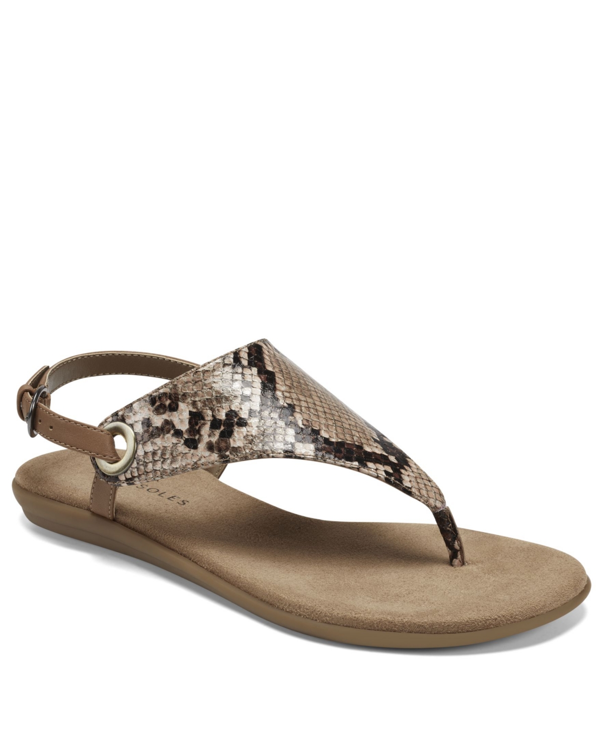 Aerosoles conchlusion clearance gladiator sandal