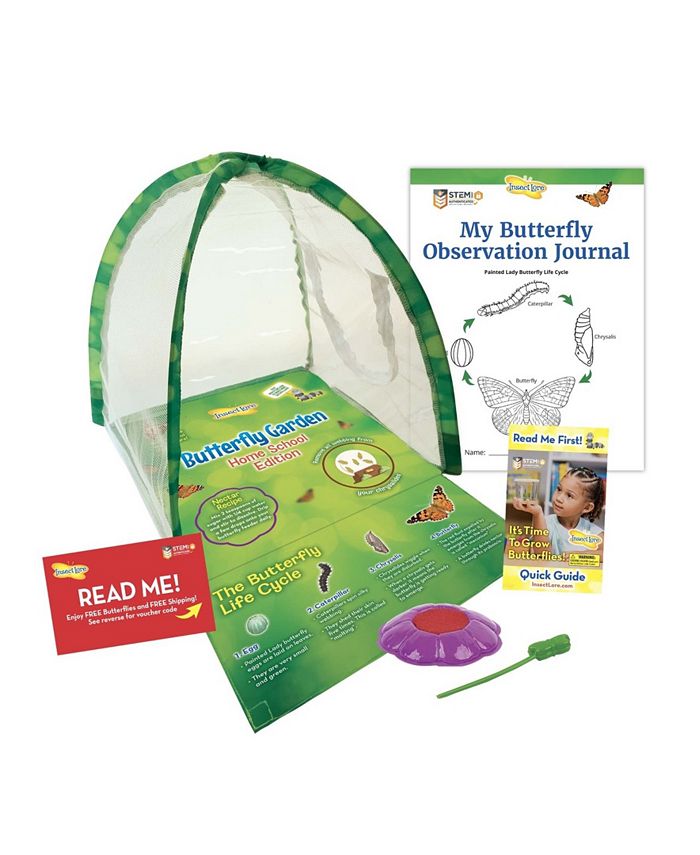 Insect Lore Butterfly Garden Homeschool Edition Macy's
