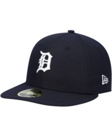 Men's Detroit Tigers Mitchell & Ness White Cooperstown Collection Pro Crown  Snapback Hat