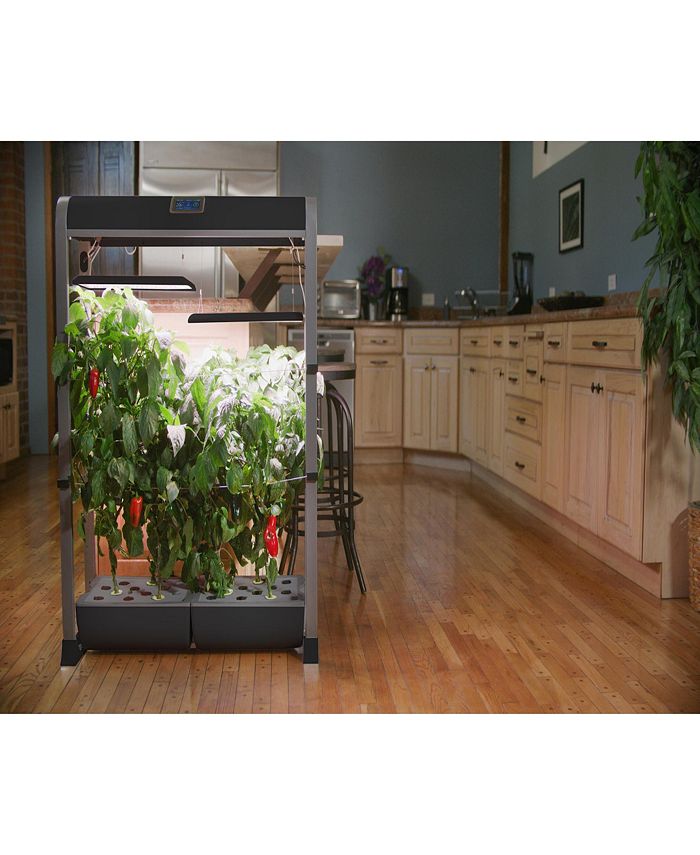 AeroGarden Farm 24XL with Salad Bar Seed Pod Kit, Black & Reviews