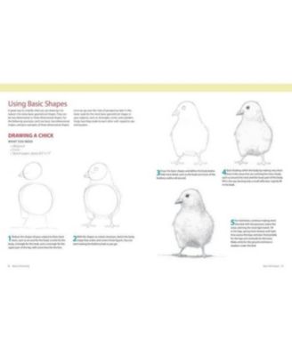 Basics of Drawing - The Ultimate Guide for Beginners by Leonardo Pereznieto