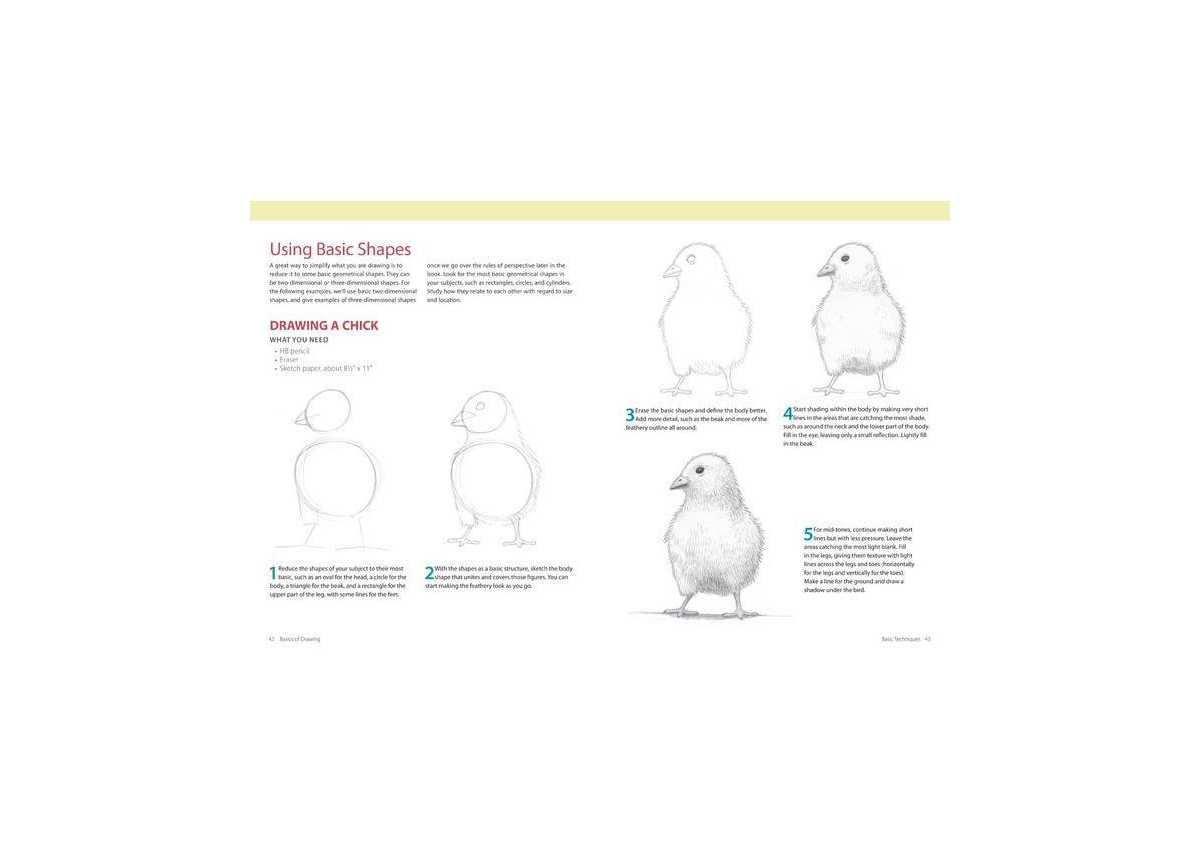 Basics of Drawing - The Ultimate Guide for Beginners by Leonardo Pereznieto