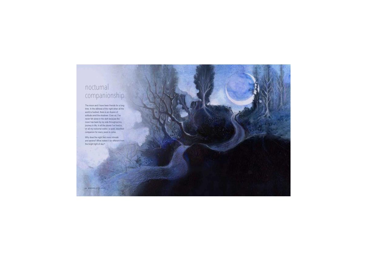 A Magical Night Journey: Finding wonder and serenity under the moon and stars by Amy T Won