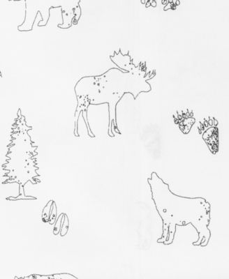 Printed 100% Cotton Percale 3-Pc. Sheet Set, Twin XL