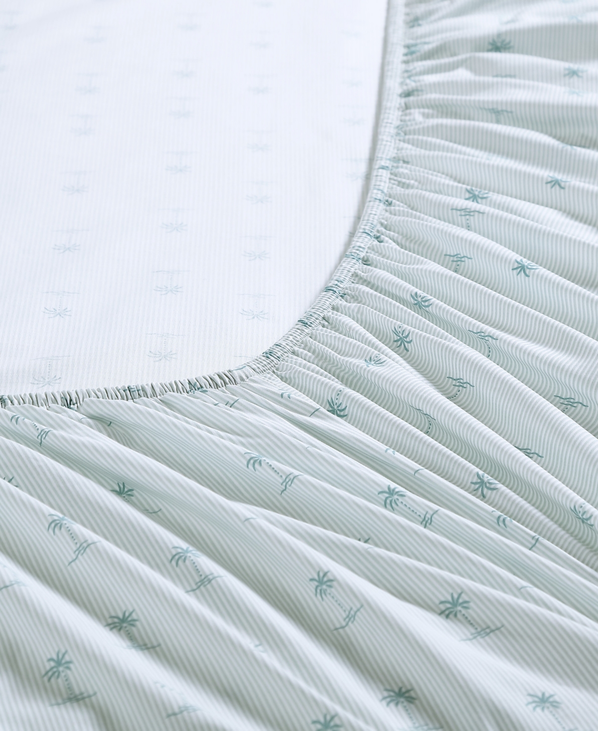 Tommy Bahama Cotton Percale 4 Piece Sheet Set, King In Kew Palms