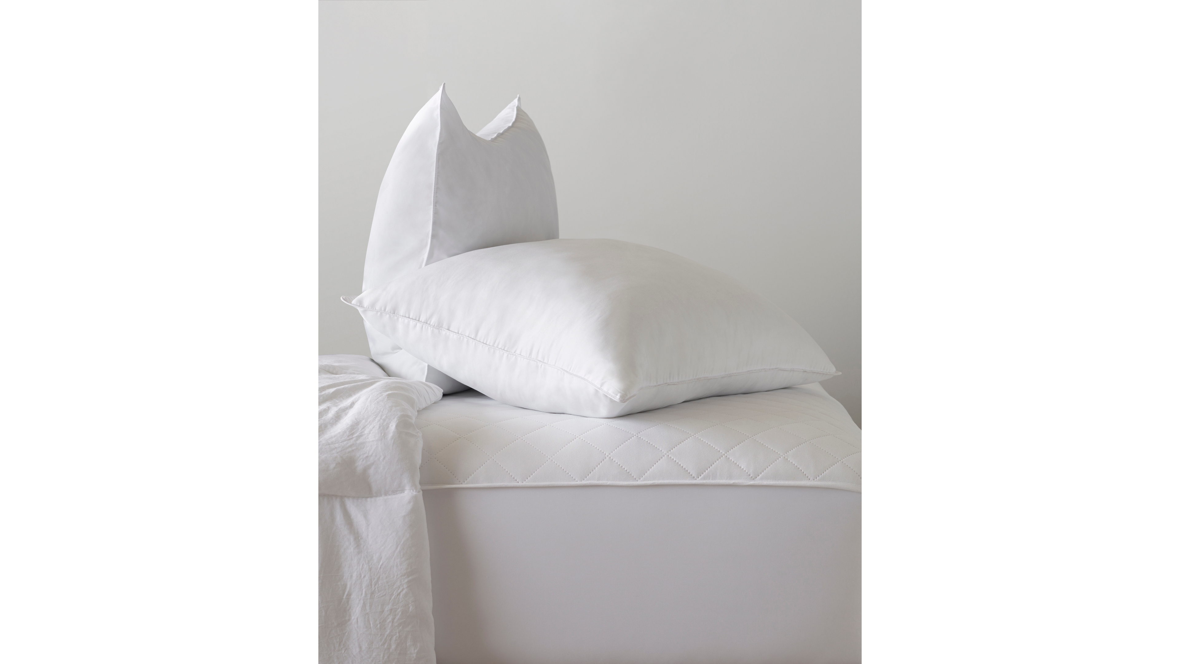 Ella Jayne Signature Plush Allergy-Resistant Firm Density Side/Back Sleeper Down Alternative 2-Pack Pillow, Queen