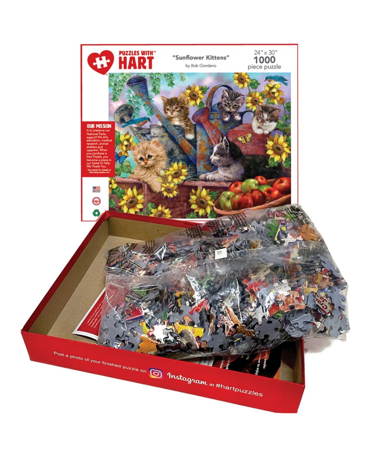 HART PUZZLES SUNFLOWER KITTENS 24" X 30" BY BOB GIORDANO SET, 1000 PIECES 