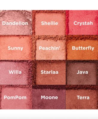 WANDERful World Silky-Soft Powder Blush Mini