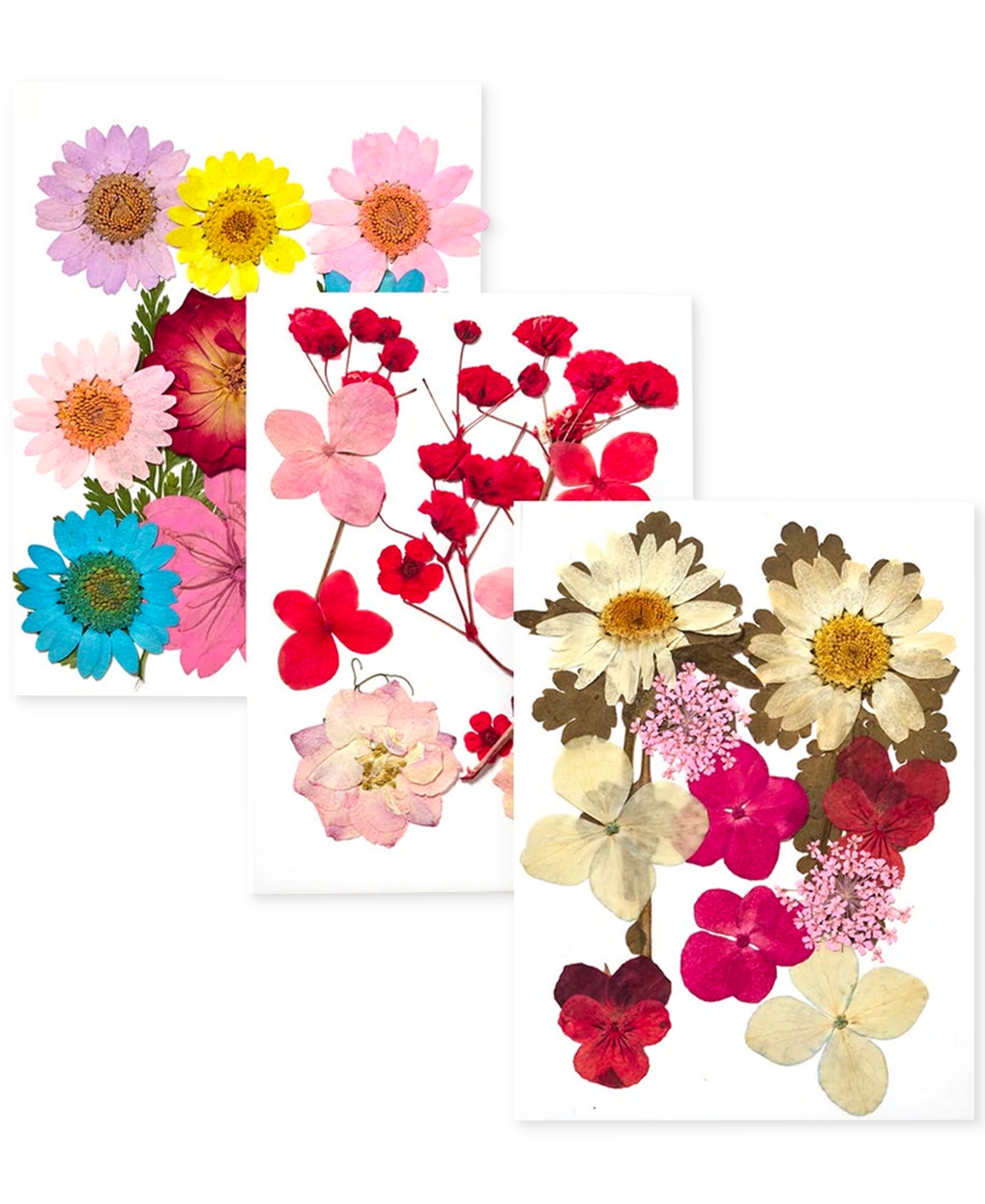 Pley Beauty Pley Things Face + Body Adornments