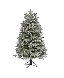 Flocked Colorado Mountain Fir Artificial Christmas Tree with Lights with and Bendable Branches, 60"