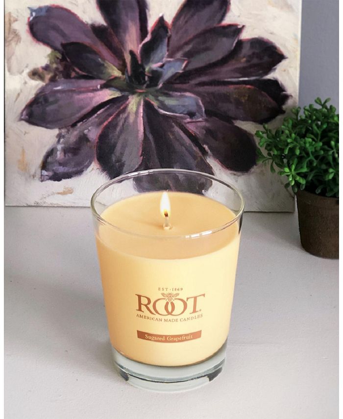 ROOT CANDLES Large Veriglass Sugar Grapefruit Fragrance Jar Candle Macy's