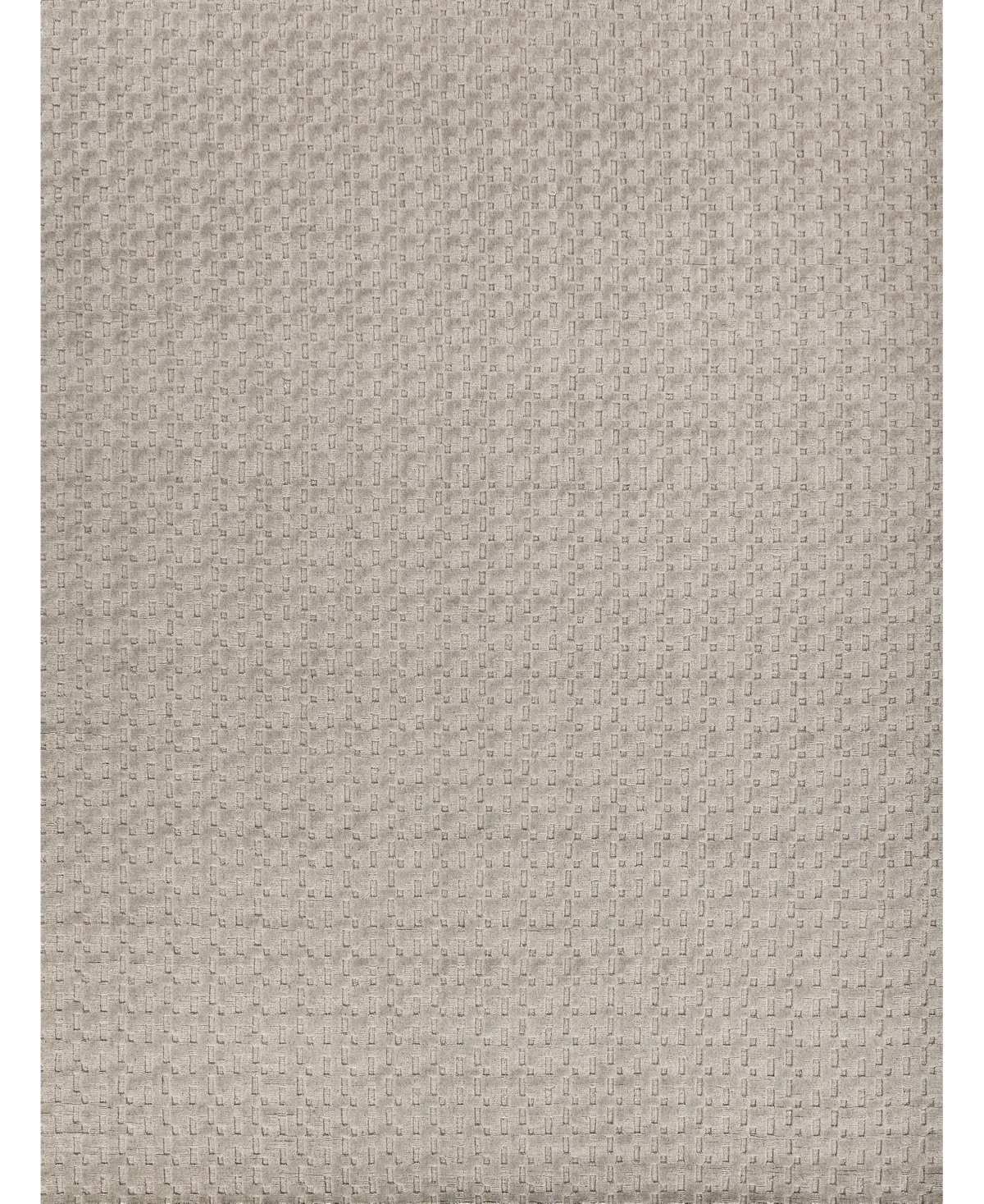 Exquisite Rugs Monroe ER3971 8' x 10' Area Rug - Silver-Tone