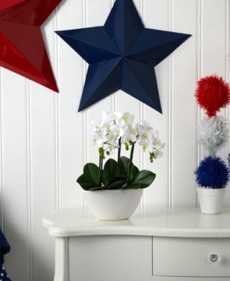 Phalaenopsis Flower Arrangement