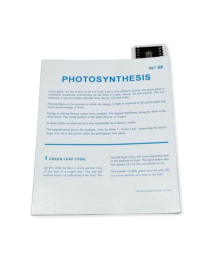 Supertek Microslide, Photosynthesis Macy's