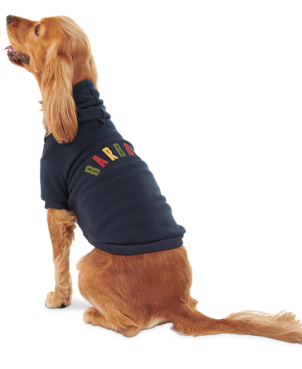Logo Brushed-Back Jersey Pullover Dog Hoodie - Navy