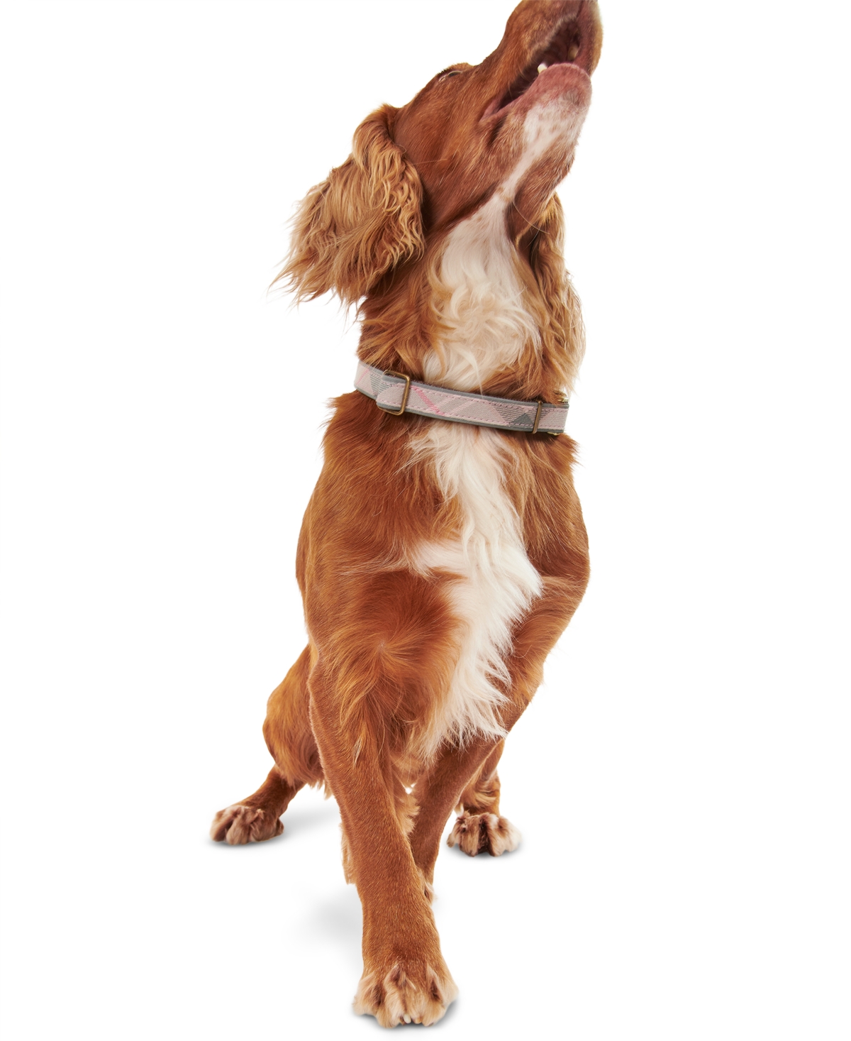 Reflective Tartan Adjustable-Fit Dog Collar - Taupe/pink