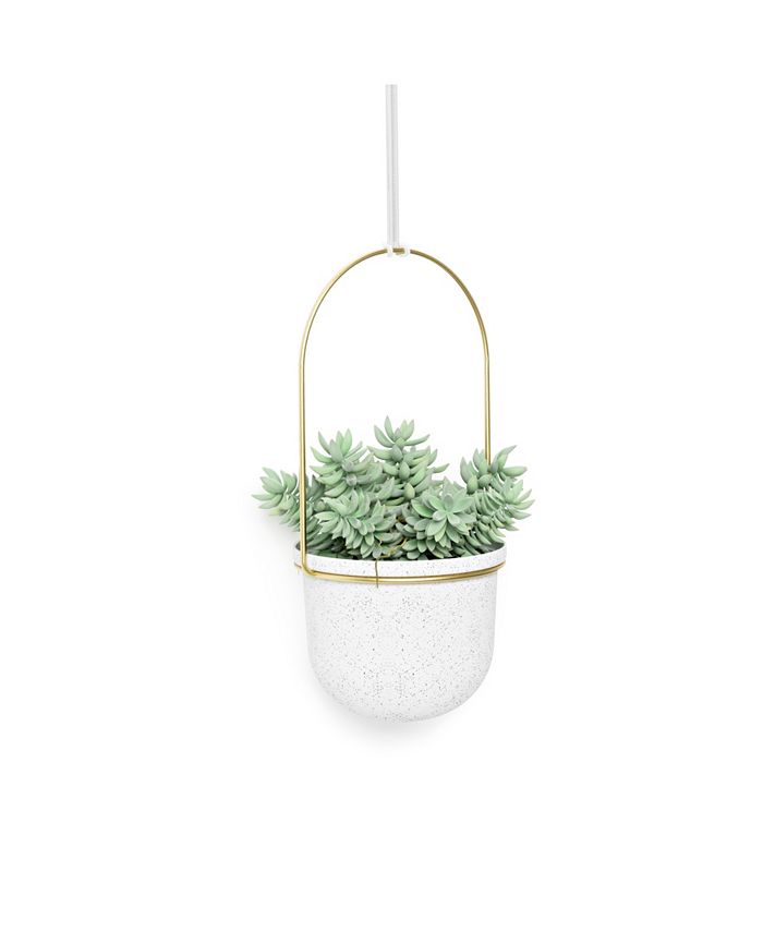 Umbra Triflora Portavasi da Appendere, Set di 5, Bianco/Ottone