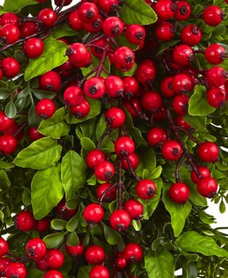 26" Berry Boxwood Teardrop