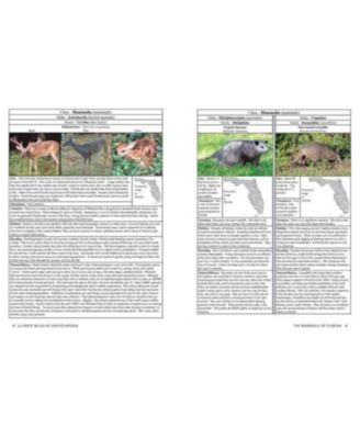 Florida Wildlife Encyclopedia - An Illustrated Guide to Birds, Fish, Mammals, Reptiles, and Amphibians by Scott Shupe