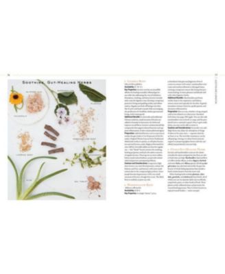 Body into Balance: An Herbal Guide to Holistic Self-Care by Maria Noel Groves