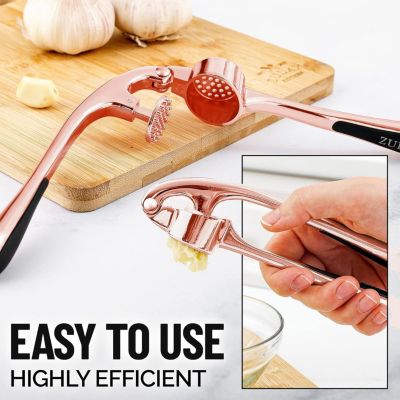 Premium Garlic Press Set - Rust Proof & Dishwasher Safe Professional Garlic Mincer Tool