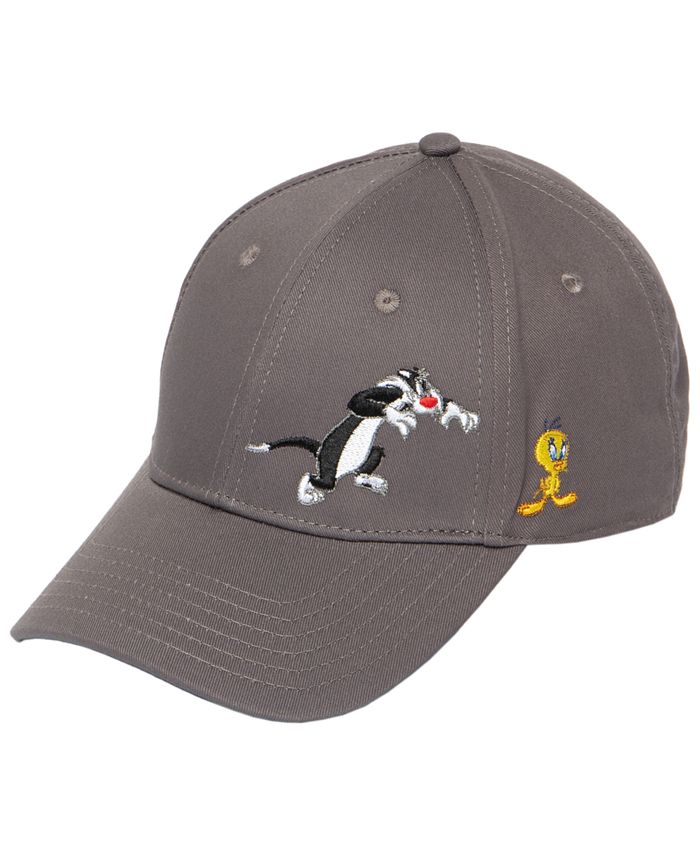 Warner brothers ball cap on sale
