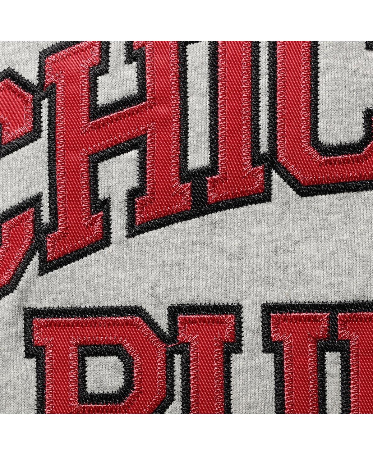 Mitchell & Ness Men's  Dennis Rodman Heathered Gray Chicago Bulls Big And Tall Name And Number Pullov In Heathered Gray