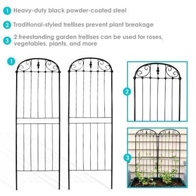 Metal Wire Traditional Garden Trellis for Climbing Plants and Flowers - 32" H - Black - 2-Pack