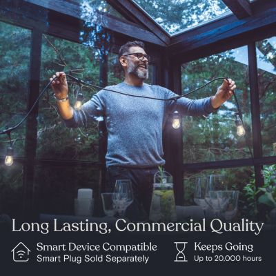 Ambience Pro 48 ft. Indoor/Outdoor LED Weatherproof 1-Watt String Lights