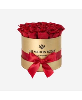 The Million Roses