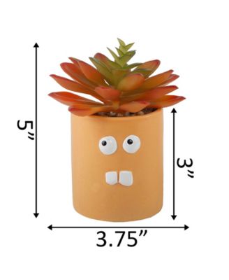 Faux Succulent in Ceramic Pot Crazy Eyes, 3.55"