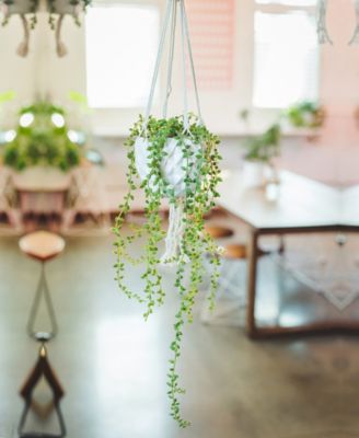 String of Pearls Macrame Hanging Ceramic Pot Donkey Tails, 4"