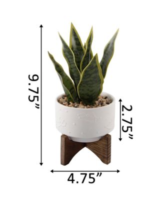 Snake Plant in Constellation Ceramic Pot on Stand, 9.7"
