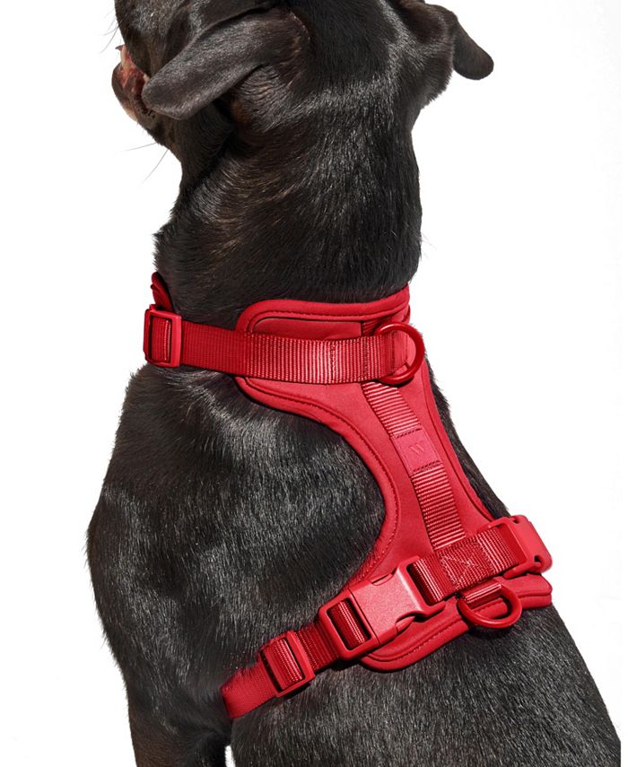 Karl lagerfeld Pets Dog Soft Chest Harness Dog Harness Weatherproof XS