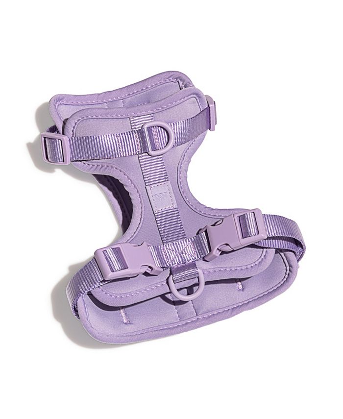 Wild One Harness for Dogs Macy's