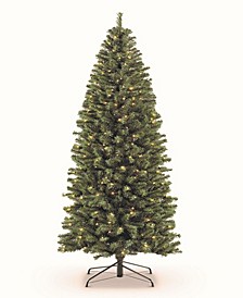 Pre-Lit Pencil Northern Fir Artificial Christmas Tree with 250 Lights, 6.5'
