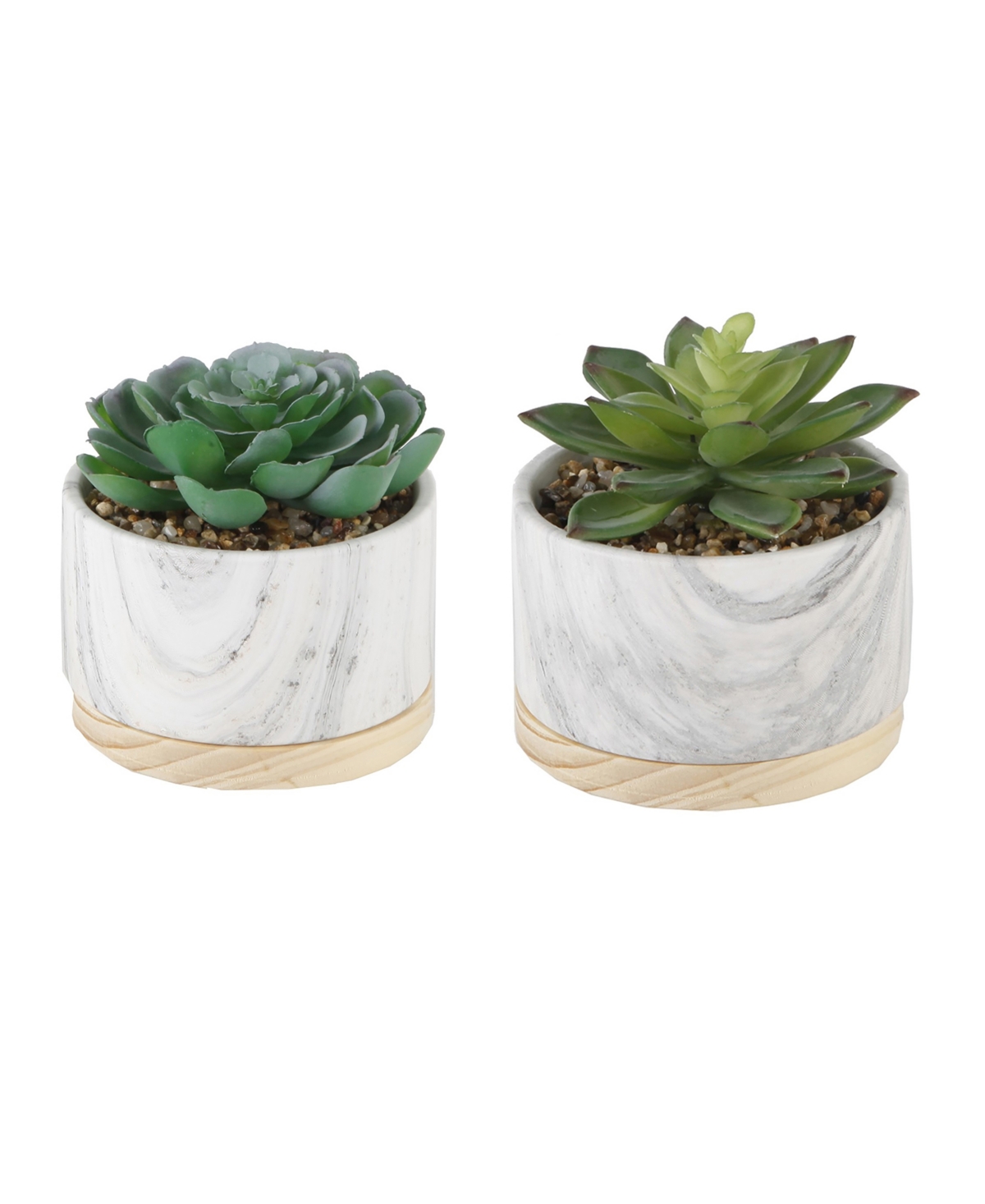 Succulent in Base Set, 2 Piece - White